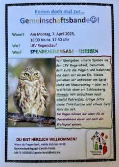 Für die Eule und andere bedrohte Vögel haben wir Spenden gesammelt!